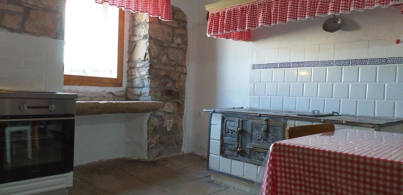 Rural Apartment Carolina Zrenj Ngoại thất bức ảnh