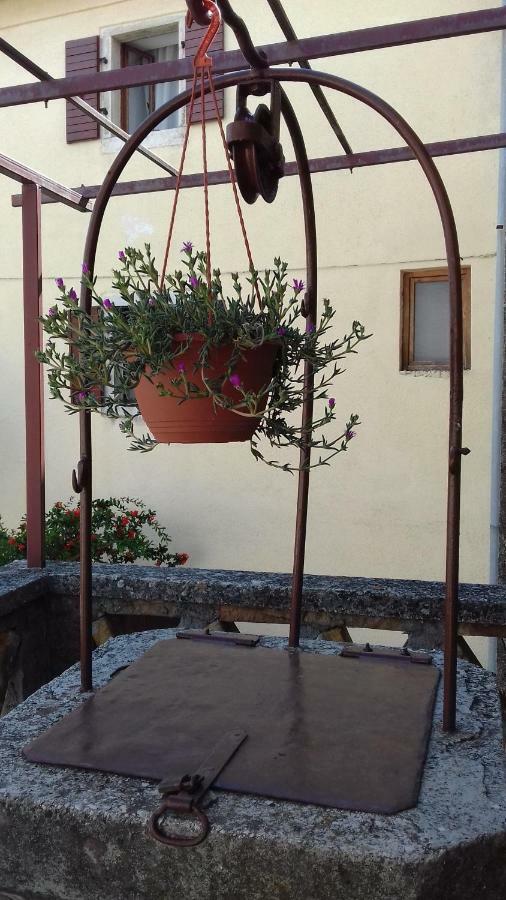 Rural Apartment Carolina Zrenj Ngoại thất bức ảnh