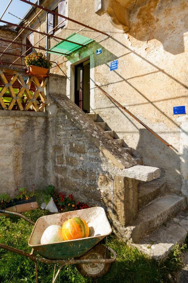 Rural Apartment Carolina Zrenj Ngoại thất bức ảnh