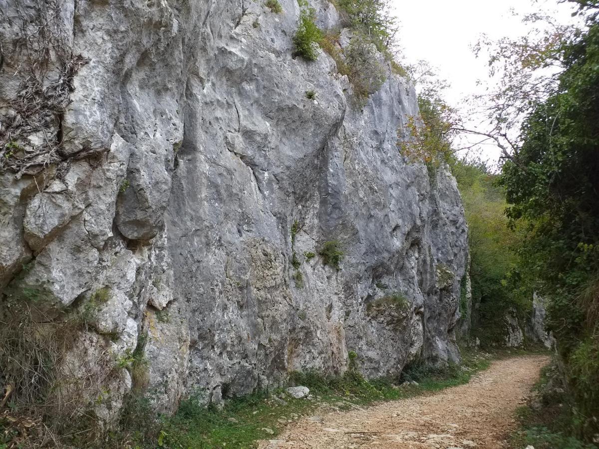 Rural Apartment Carolina Zrenj Ngoại thất bức ảnh
