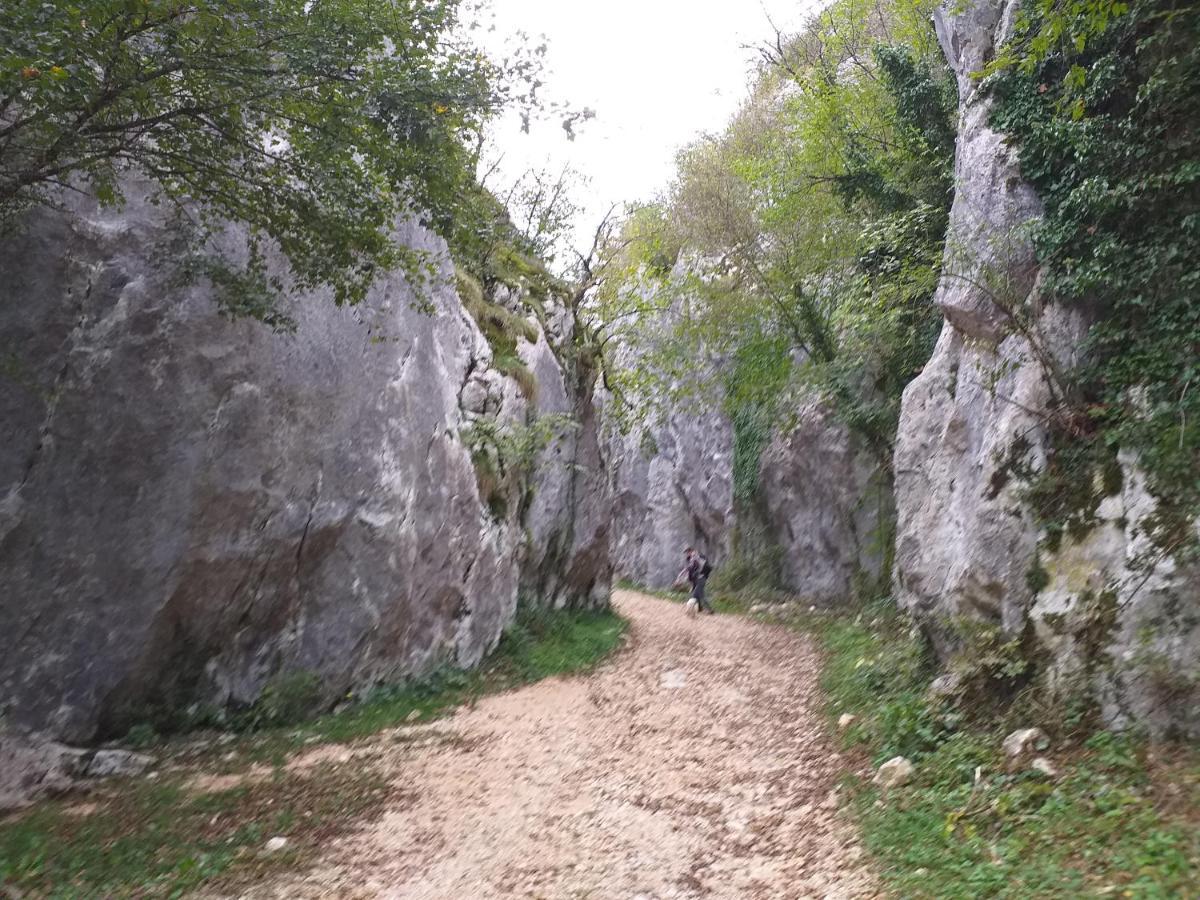 Rural Apartment Carolina Zrenj Ngoại thất bức ảnh